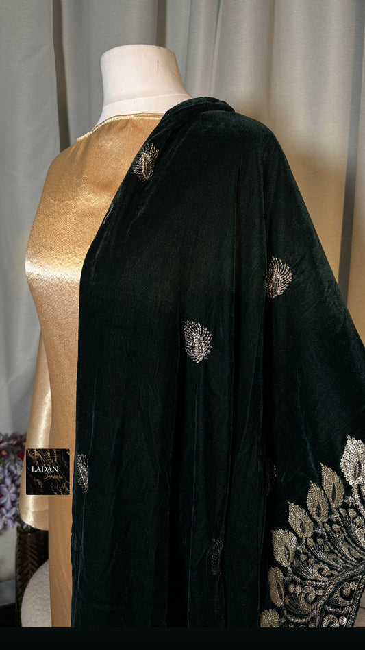 Embroidered Velvet Gabasaar | Emerald Green